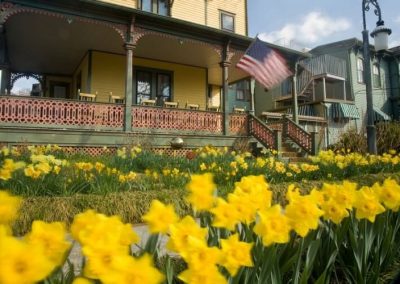 Close-up photo of bright yellow daffodils in the front garden of the Prince Albert Hall house